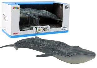 Figūrėlė Lean Toys The Sea World Mėlynasis banginis kaina ir informacija | Žaislai mergaitėms | pigu.lt