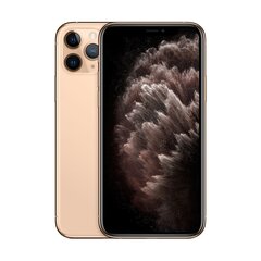 iPhone 11 Pro 64GB Gold (atnaujinta, būklė A) kaina ir informacija | Mobilieji telefonai | pigu.lt