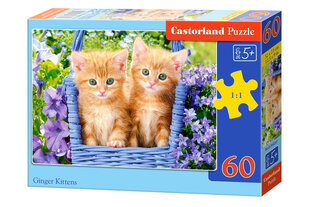 Dėlionė Castorland Ginger Kittens, 60 d. kaina ir informacija | Dėlionės (puzzle) | pigu.lt