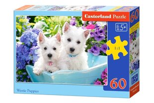 Dėlionė Castorland Westie Puppies, 60 d. kaina ir informacija | Dėlionės (puzzle) | pigu.lt