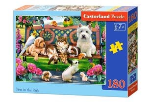 Dėlionė gyvūnai Castorland Pets in the park, 180 d. kaina ir informacija | Dėlionės (puzzle) | pigu.lt