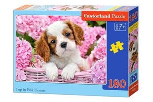 Пазл Castorland Pup in Pink Flower, 180 деталей цена и информация | Пазлы | pigu.lt