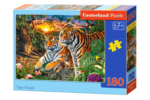 Dėlionė Castorland Tiger Family, 180 dalių kaina ir informacija | Dėlionės (puzzle) | pigu.lt