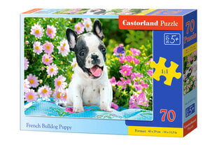 Dėlionė Castorland French Bulldog Puppy, 70 d. kaina ir informacija | Dėlionės (puzzle) | pigu.lt