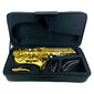 Soprano saksofonas Alf Holden SS-150 kaina ir informacija | Pučiamieji instrumentai | pigu.lt