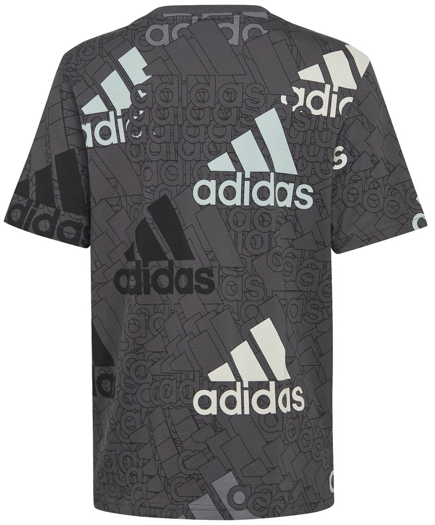 Marškinėliai berniukams Adidas Bl Logo HP0819, pilki kaina ir informacija | Marškinėliai berniukams | pigu.lt