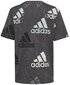 Marškinėliai berniukams Adidas Bl Logo HP0819, pilki цена и информация | Marškinėliai berniukams | pigu.lt