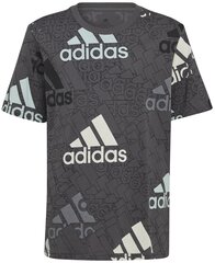 Футболка Adidas U Bl Logo Tee Grey HP0819 цена и информация | Рубашки для мальчиков | pigu.lt