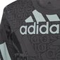 Marškinėliai berniukams Adidas Bl Logo HP0819, pilki цена и информация | Marškinėliai berniukams | pigu.lt