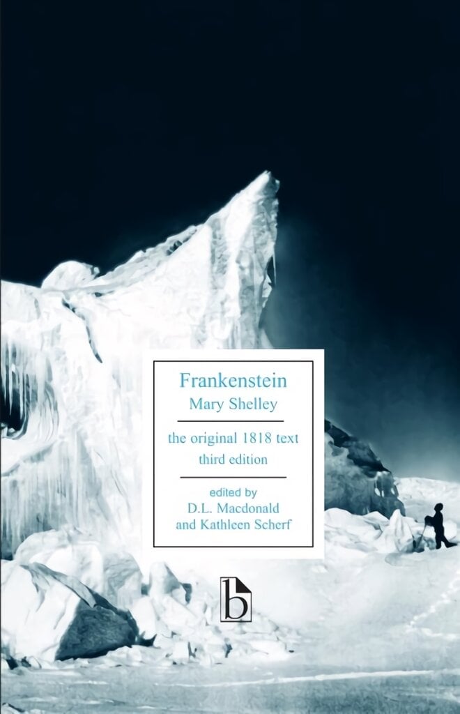 Frankenstein 3rd edition цена и информация | Istorinės knygos | pigu.lt