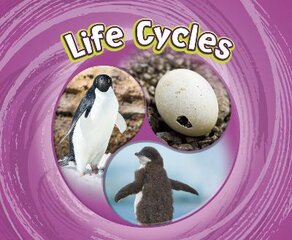 Life Cycles цена и информация | Книги для подростков и молодежи | pigu.lt