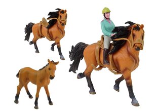 Arklių ir raitėlio figūrėlių rininys Lean Toys, 3d. kaina ir informacija | Žaislai mergaitėms | pigu.lt