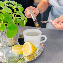 Springos arbatos sietelis kaina ir informacija | Stalo įrankiai | pigu.lt