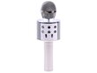 Belaidis karaoke mikrofonas su garsiakalbiu, sidabrinis kaina ir informacija | Lavinamieji žaislai | pigu.lt