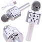 Belaidis karaoke mikrofonas su garsiakalbiu, sidabrinis цена и информация | Lavinamieji žaislai | pigu.lt