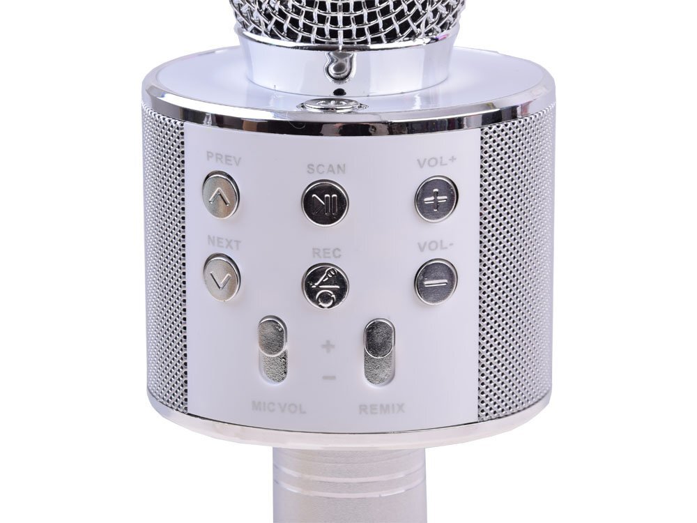 Belaidis karaoke mikrofonas su garsiakalbiu, sidabrinis kaina ir informacija | Lavinamieji žaislai | pigu.lt