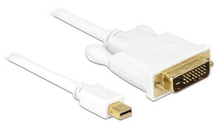 Displayport mini male, DVI 24pin male, 2м цена и информация | Кабели и провода | pigu.lt