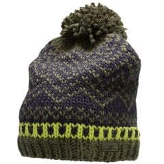 Зимняя шапка 4F 1 M H4Z22 CAM011 91S, зеленая цена и информация | Мужские шарфы, шапки, перчатки | pigu.lt