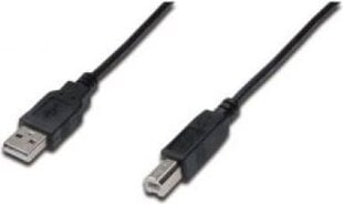 Assmann AK-300105-050-S, USB-A/USB-B, 5 м цена и информация | Кабели и провода | pigu.lt