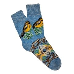 Vilnonės kojinės moterims Zylutės, mėlynos kaina ir informacija | Moteriškos kojinės | pigu.lt