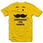 Marškinėliai "Laimingiausias tėtis pasaulyje" kaina ir informacija | Originalūs marškinėliai | pigu.lt