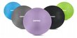 Gimnastikos kamuolys Zipro 65 cm, violetinis kaina ir informacija | Gimnastikos kamuoliai | pigu.lt