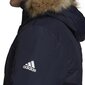 Striukė vyrams Adidas Hooded GT1701, juoda цена и информация | Vyriškos striukės | pigu.lt