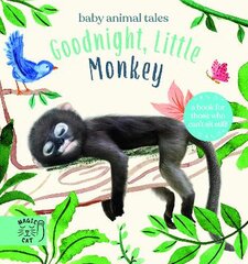 Goodnight, Little Monkey: A book for those who can't sit still kaina ir informacija | Knygos paaugliams ir jaunimui | pigu.lt