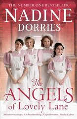Angels Of Lovely Lane цена и информация | Фантастика, фэнтези | pigu.lt