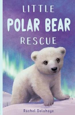 Little Polar Bear Rescue цена и информация | Knygos paaugliams ir jaunimui | pigu.lt