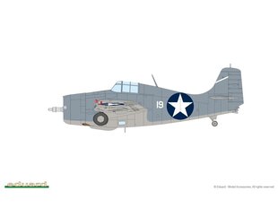 Surenkamas modelis Eduard Grumman F4F-4 Wildcat early ProfiPack Edition, 1/48, 82202 цена и информация | Конструкторы и кубики | pigu.lt