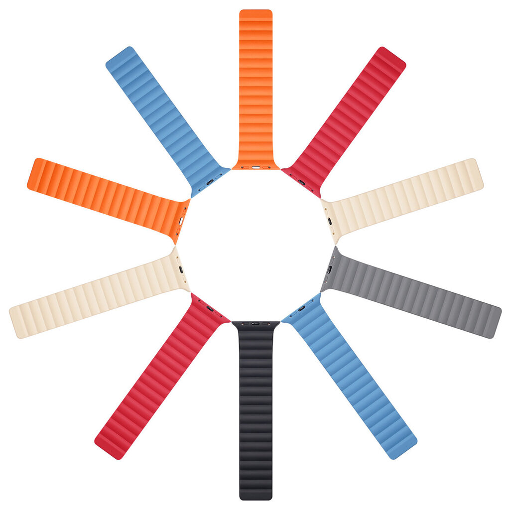 Dux Ducis Magnetic Watch Band kaina ir informacija | Išmaniųjų laikrodžių ir apyrankių priedai | pigu.lt