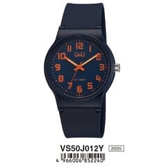 Мужские часы Q&Q VS50J012Y, Ø 38 мм цена и информация | Мужские часы | pigu.lt