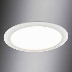 Встраиваемый светильник для ванной Editha, светодиодная панель 18Вт цена и информация | Монтируемые светильники, светодиодные панели | pigu.lt