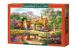 Dėlionė Castorland Home, 3000 detalių kaina ir informacija | Dėlionės (puzzle) | pigu.lt