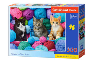 Dėlionė Castorland Kittens in Yar Store, 300 d. kaina ir informacija | Dėlionės (puzzle) | pigu.lt