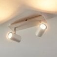 Iluk - 2-ламповый светодиодный прожектор для стен и потолков