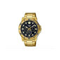 Laikrodis vyrams Casio MTP-VD300G-1E цена и информация | Vyriški laikrodžiai | pigu.lt