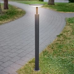 LED kelio šviestuvas Fenia, pilkas kaina ir informacija | Lauko šviestuvai | pigu.lt