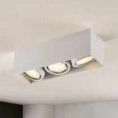 Светодиодный потолочный светильник Rosalie, регулируемый, квадратный, 3 лампочки. Белый цена и информация | Потолочные светильники | pigu.lt