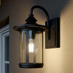 Настенный светильник Lindby Zayn с прозрачным стеклом цена и информация | Уличные светильники | pigu.lt