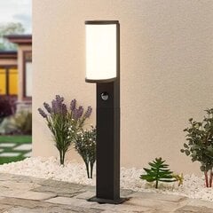 Lucande Jokum Светодиодный светильник на шине IP54 Датчик 60см цена и информация | Уличные светильники | pigu.lt