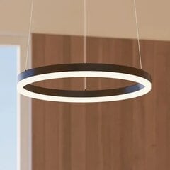 Archchio Albiona LED подвесной светильник, 1 кольцо, 40 см цена и информация | Подвесной светильник | pigu.lt