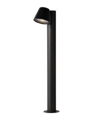 Lauko šviestuvas Lucide Dingo LED 14881/70/30, juoda kaina ir informacija | Lauko šviestuvai | pigu.lt