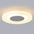 Декоративный светодиодный потолочный светильник Tarja