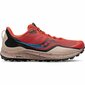 Vyriški sportbačiai Saucony Peregrine 12 kaina ir informacija | Kedai vyrams | pigu.lt