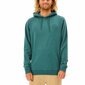 Vyriškas džemperis su gobtuvu Rip Curl Re Entry, žalias kaina ir informacija | Džemperiai vyrams | pigu.lt