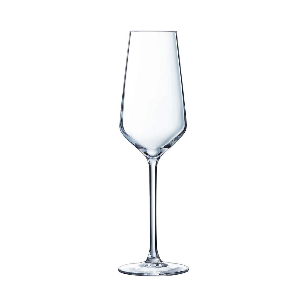 Chef & sommelier distinction šampano taurė, 230 ml, 6 vnt kaina ir informacija | Taurės, puodeliai, ąsočiai | pigu.lt