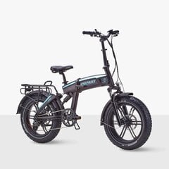 elektrinis dviratis Jobobike Eddy 250W 20'' Juoda цена и информация | Электровелосипеды | pigu.lt