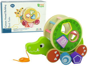Medinis traukiamas rūšiuoklis Krokodilas, žalias kaina ir informacija | Žaislai kūdikiams | pigu.lt